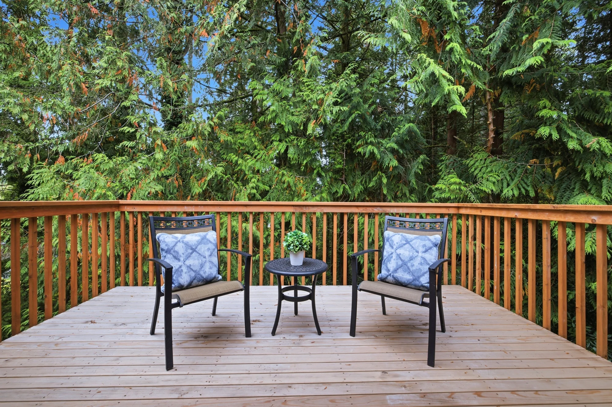 Private deck surrounded by tall evergreens