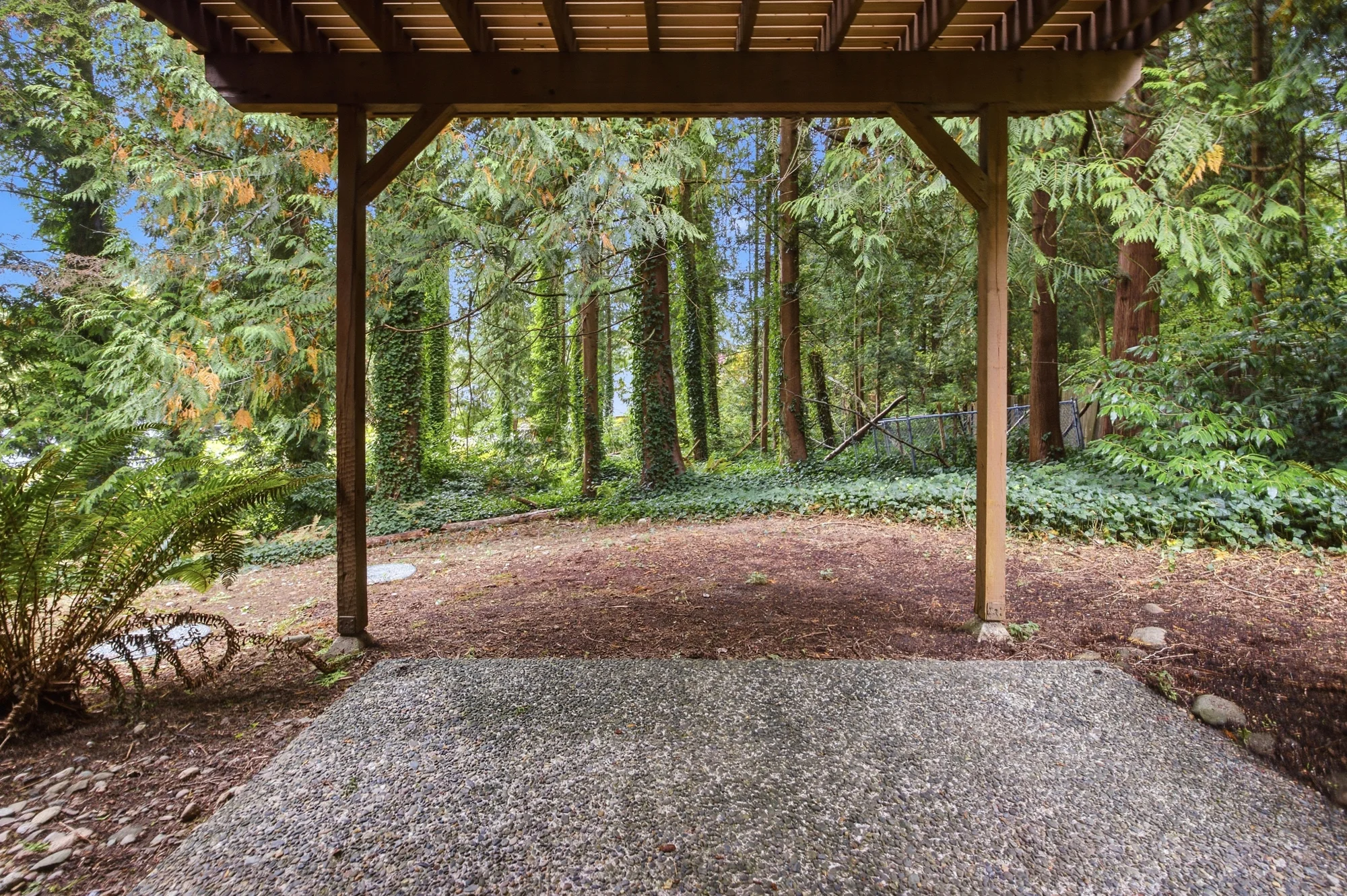 Covered outdoor area beneath the deck looking toward the trees